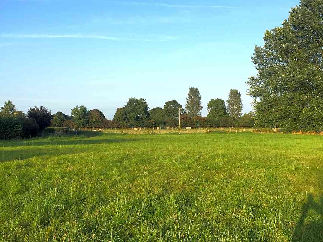 Hayfield Glamping and Camping