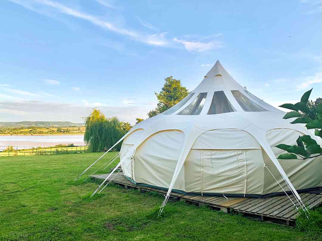 Forest Glamping Retreat: View from Stargazer