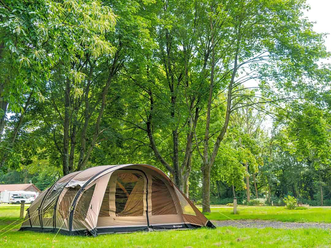 Oak View Holiday Park: Pitches among the trees
