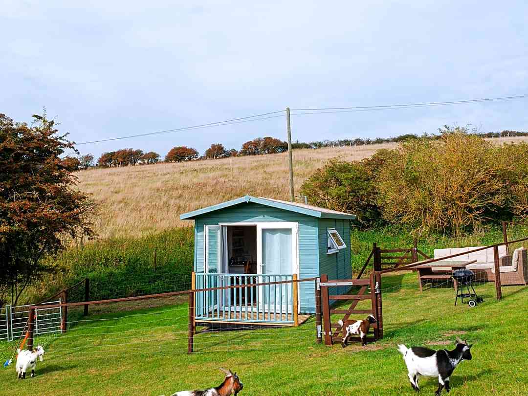 Wallis Farm: The cabin and its own outdoor area (photo added by manager on 21/09/2023)