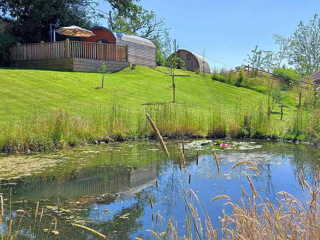 Cilsane Lodges: Pond and lodge