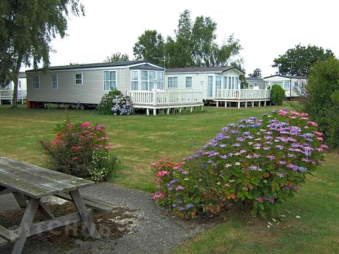 Walnut Tree Chichester Pitchup