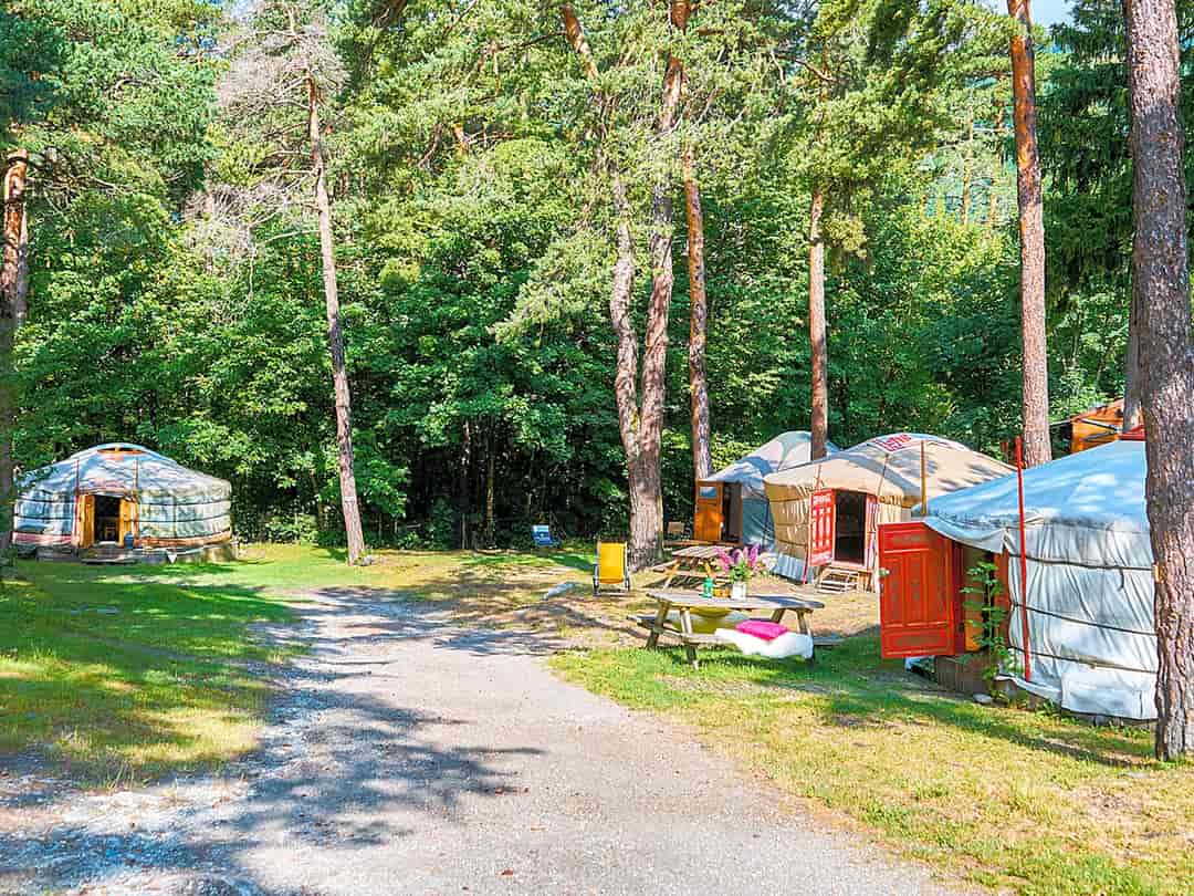 Camping Le Reclus: Yurts and alleys