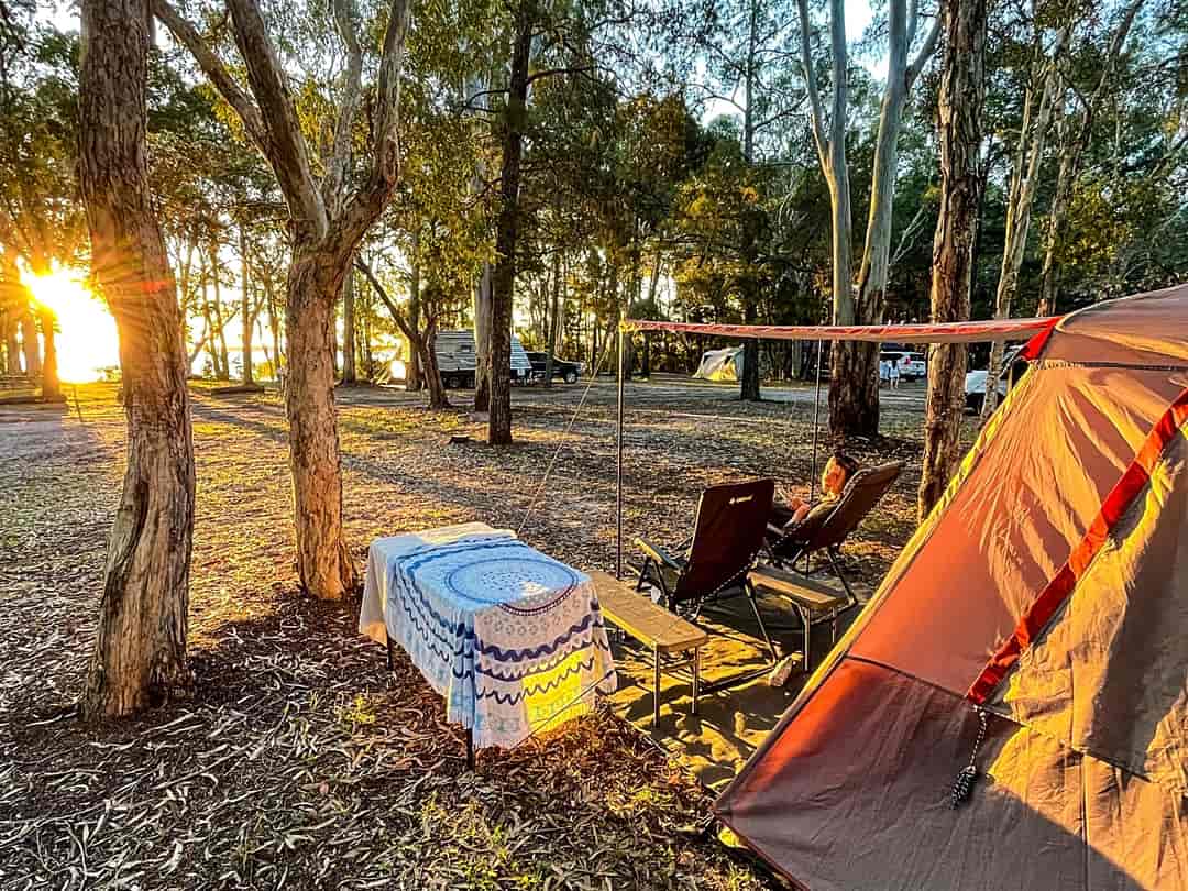 BIG4 Breeze Holiday Parks - Rainbow Beach: Sleeping in the woods