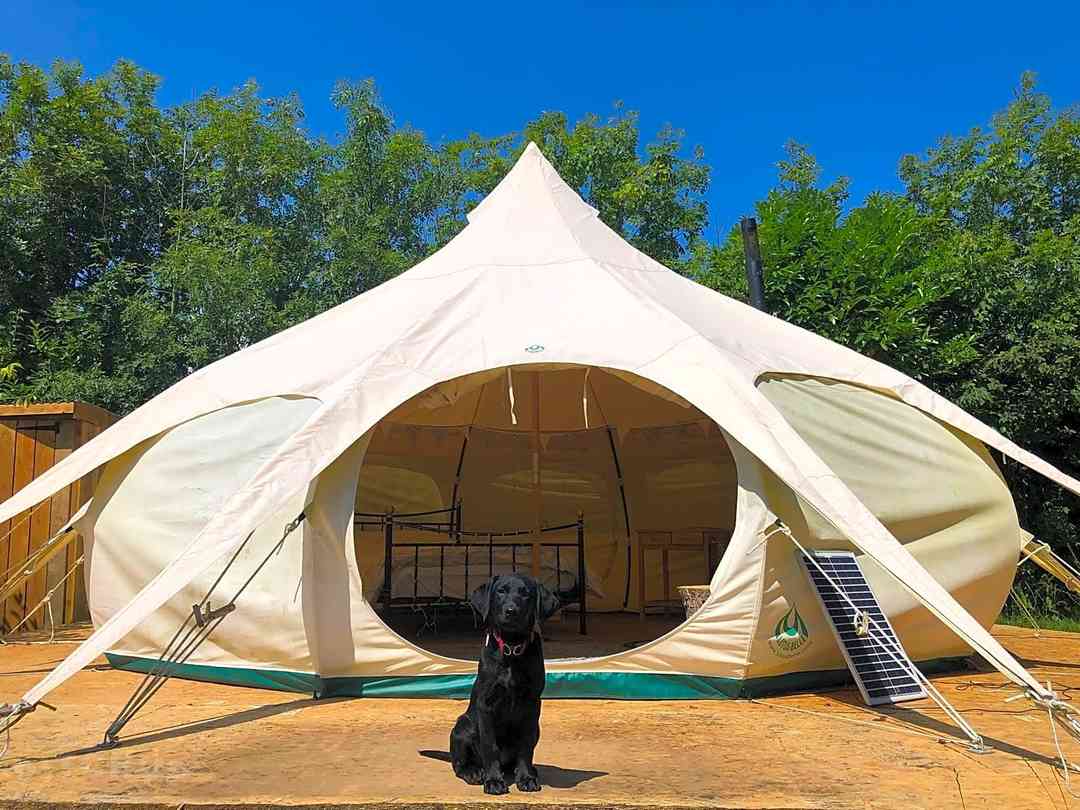 Tre-End Glamping: Outside the bell tent