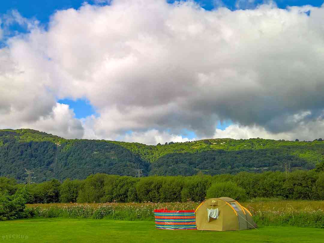 Erw Glas Glamping and Camping: Visitor view of Hillside (photo added by manager on 02/09/2022)