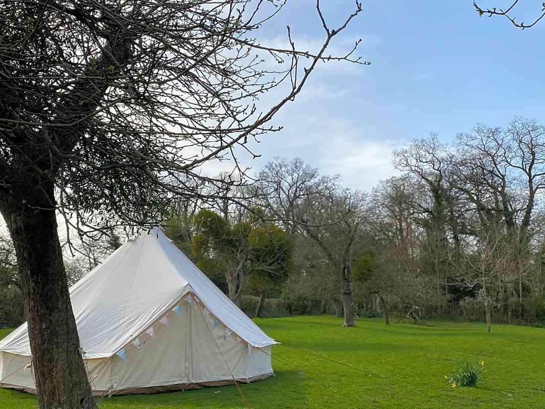 Best Campsites In The Forest Of Dean And Wye Valley 2021 185 The Forest Of Dean And Wye Valley Camping Sites On Pitchup