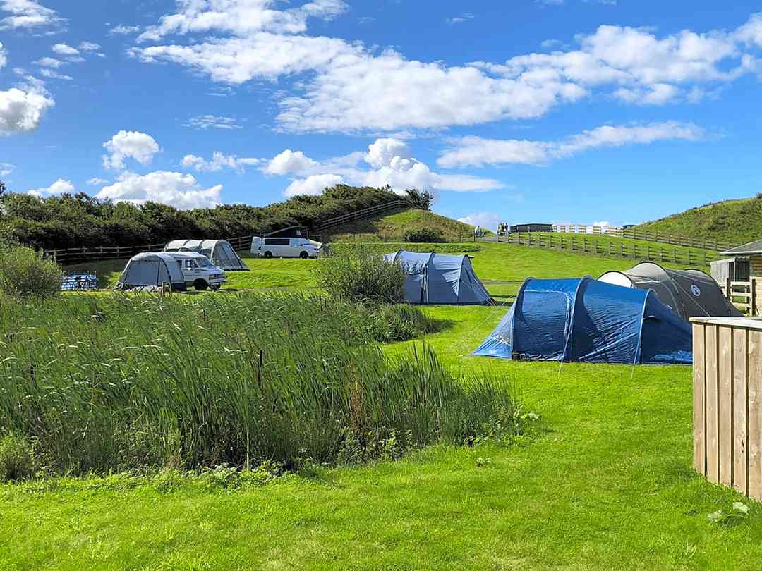 Adventure Camping: Camping
