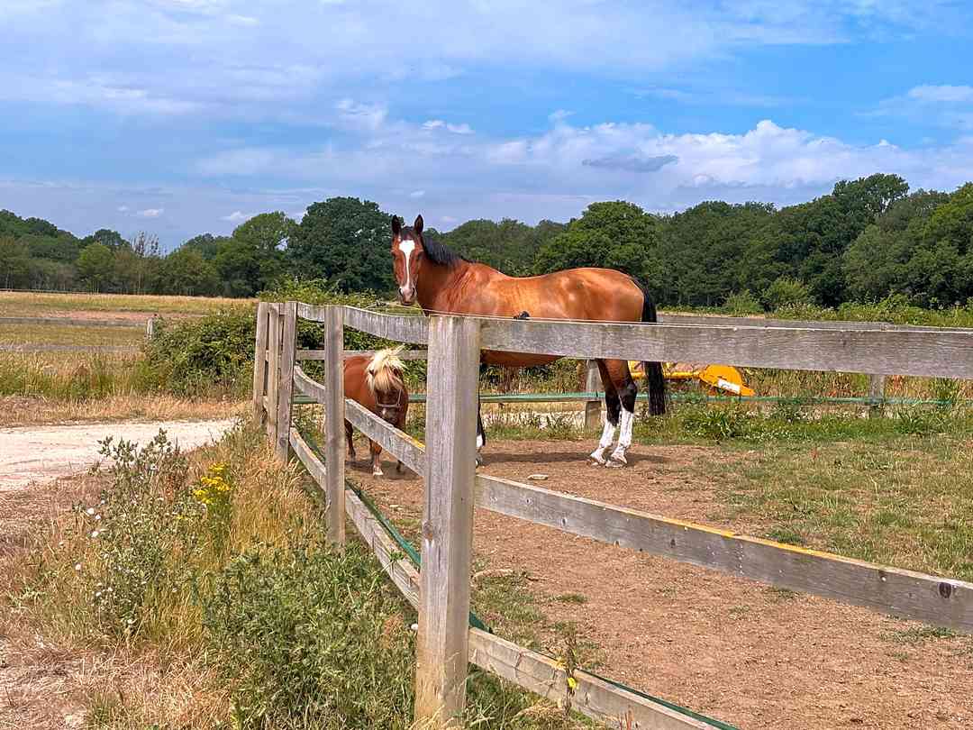 Beech Farm (fotografie přidána správcem na 11.07.2025) Beech Farm (fotografie přidána správcem na 11.07.2025)