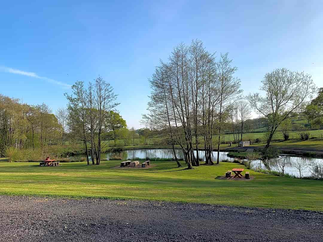 Forest Oak Farm: Picnic Area, Lake and Dog Exercise Area