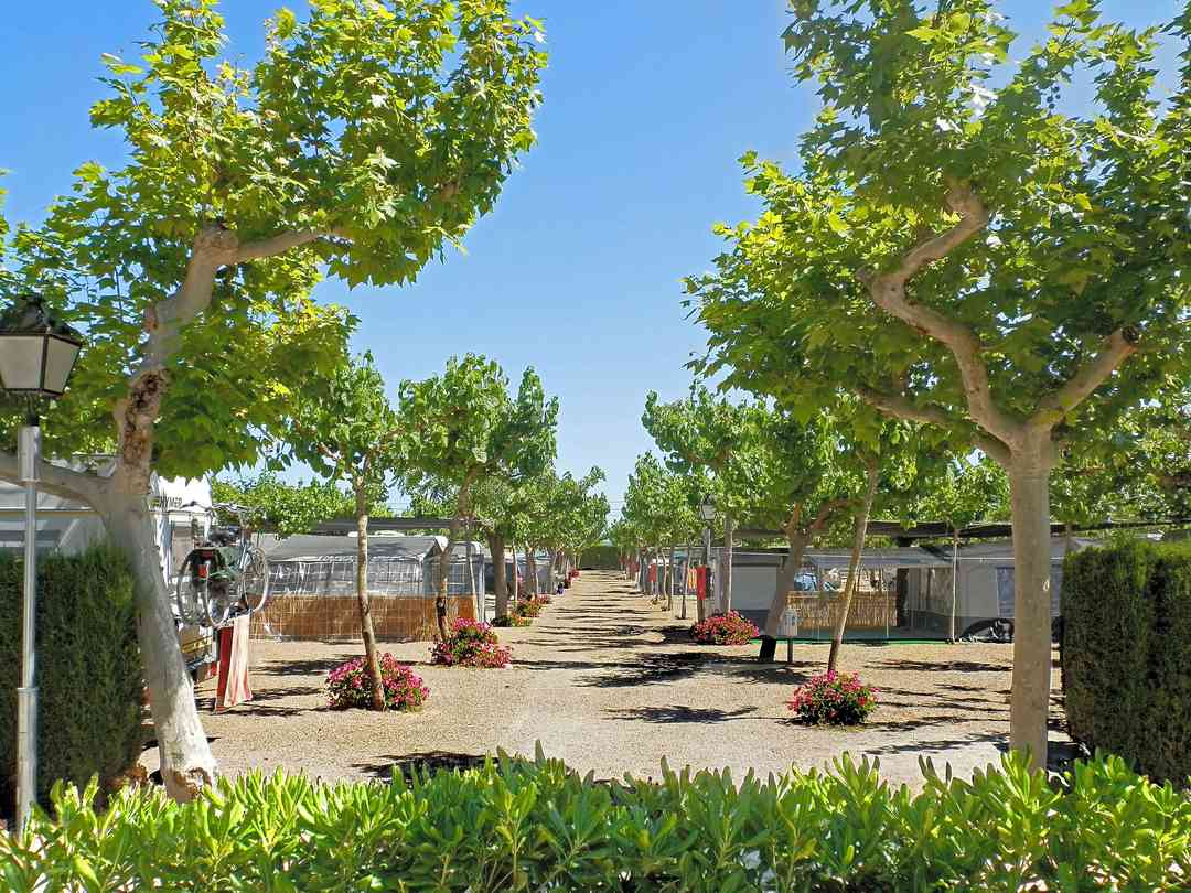 Best Campsites In Tarragona 2020 From 9 99 Book 10 Campsites On