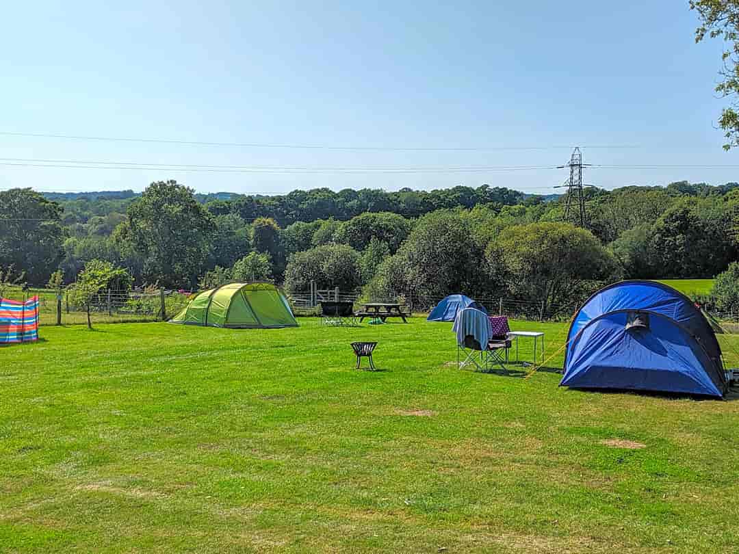 Idle Hours Owlsbury Park: Visitor image of the campsite