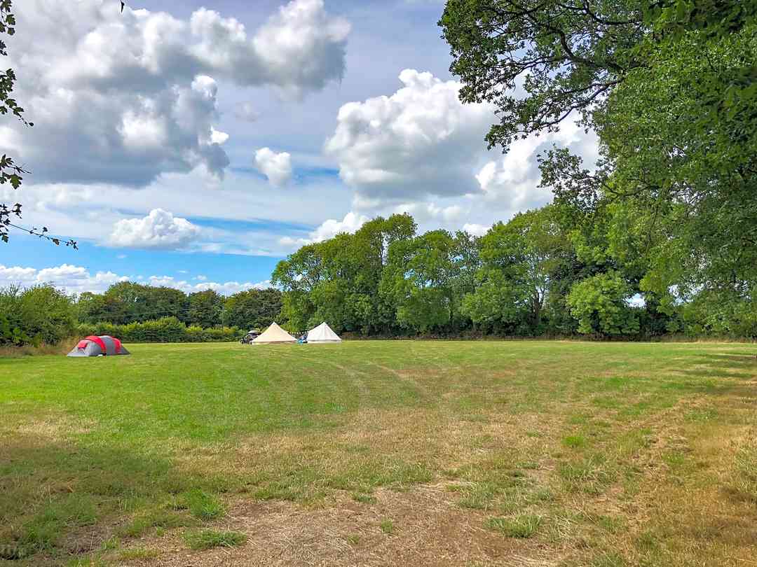 Buttles Farm （经理于2024年11月22日添加的照片）