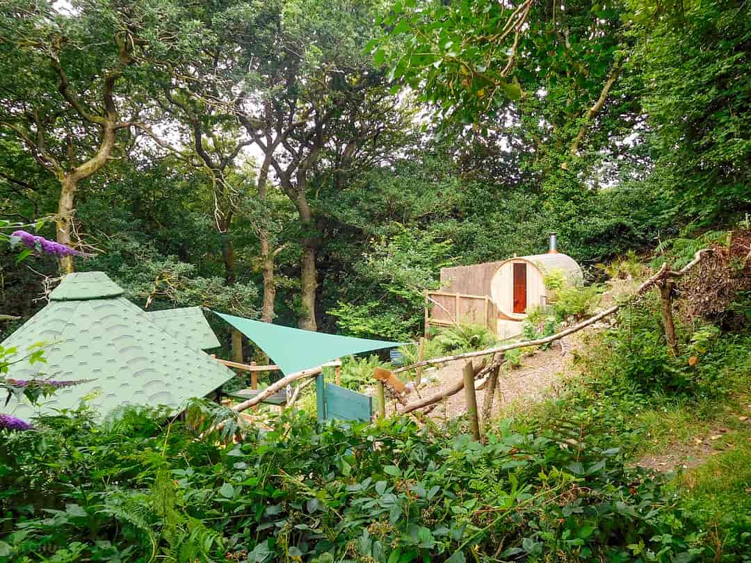 Acorn Camping and Glamping: Cabins in the woods