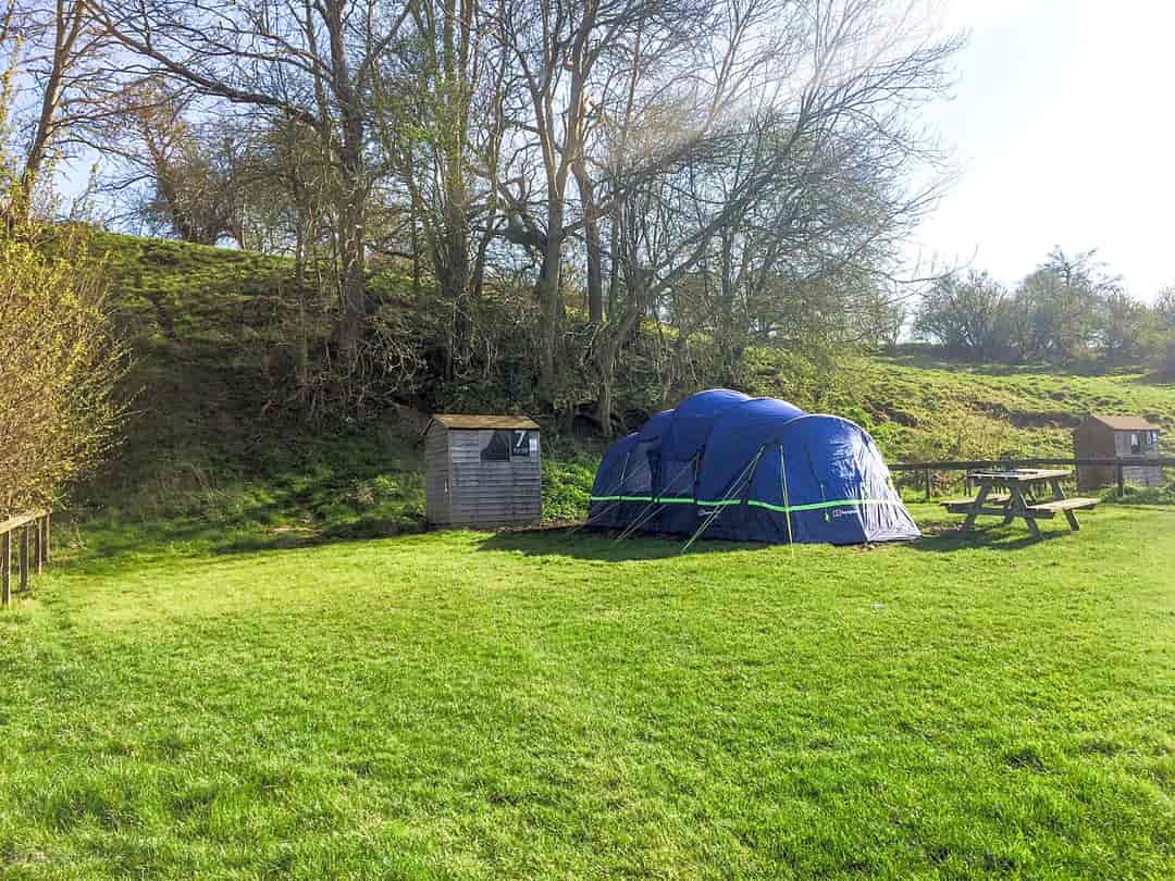 The Real Campsite at Park Farm: Pitch 7 Ash End (photo added by manager on 16/01/2023)