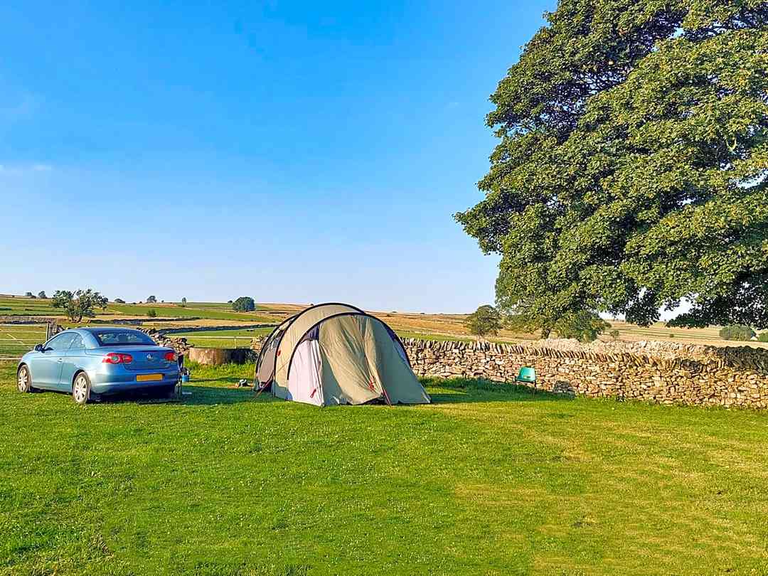 Longfield Farm: Visitor image of the non-electric camp pitch at top of site, with tree for morning shade