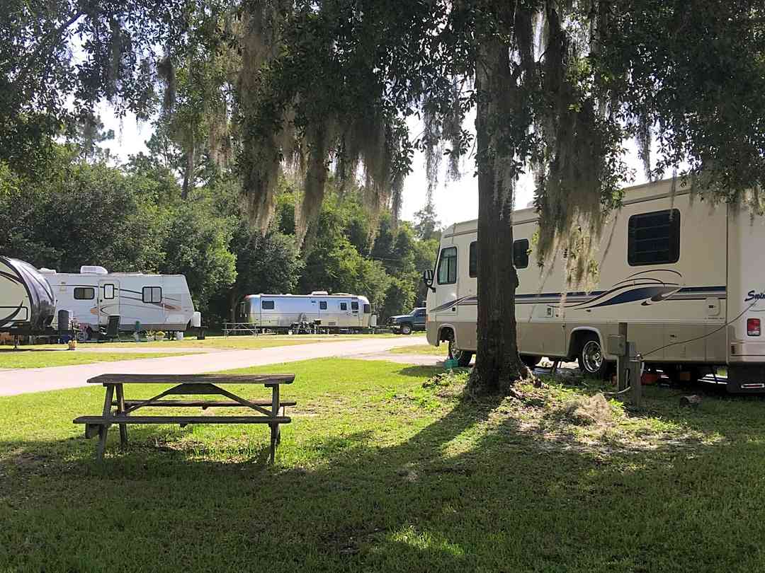 Wild Frontier Rv Park Ocala Pitchup