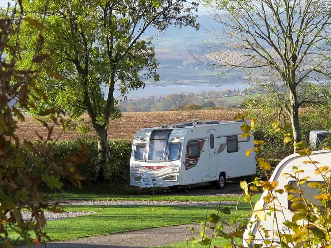 Castle Brake Holiday Park: Pitches