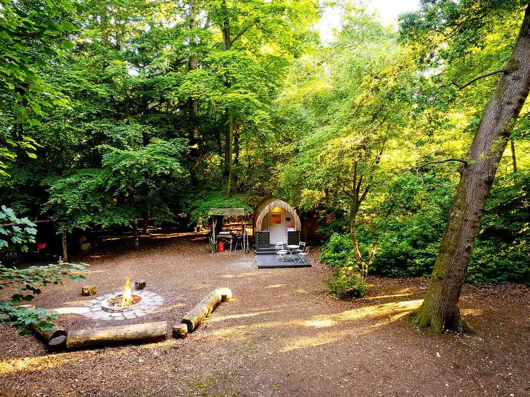 Hollington Park Glamping (a kezelő által 2022.06.29. napon hozzáadott fénykép)