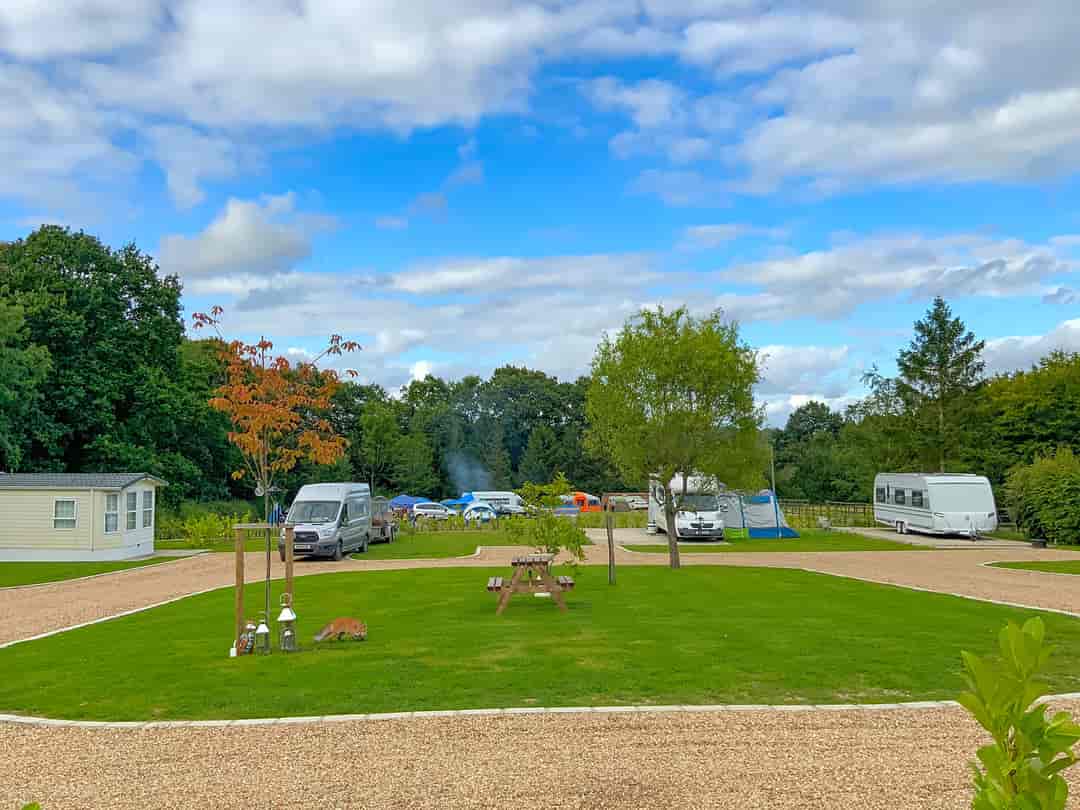 Sussex Topiary Campsite: Bottom field (photo added by manager on 23/09/2022)
