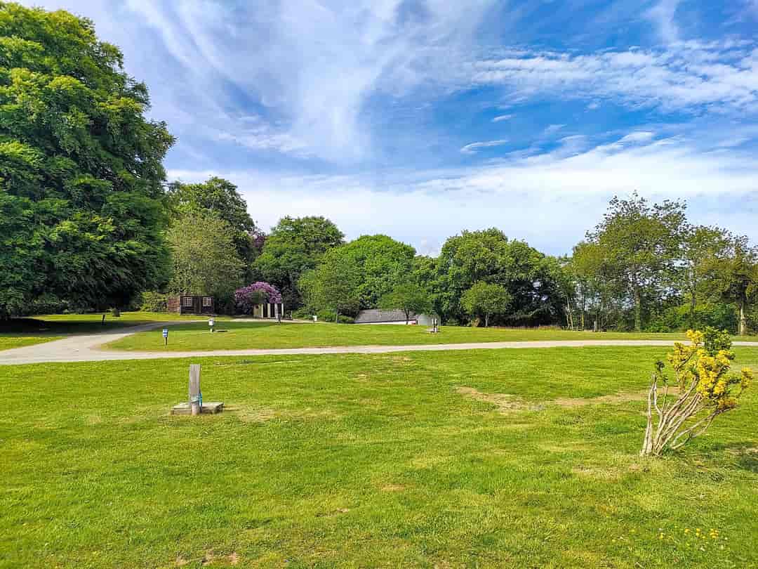 Great Trethew Manor Camping: Campsite view