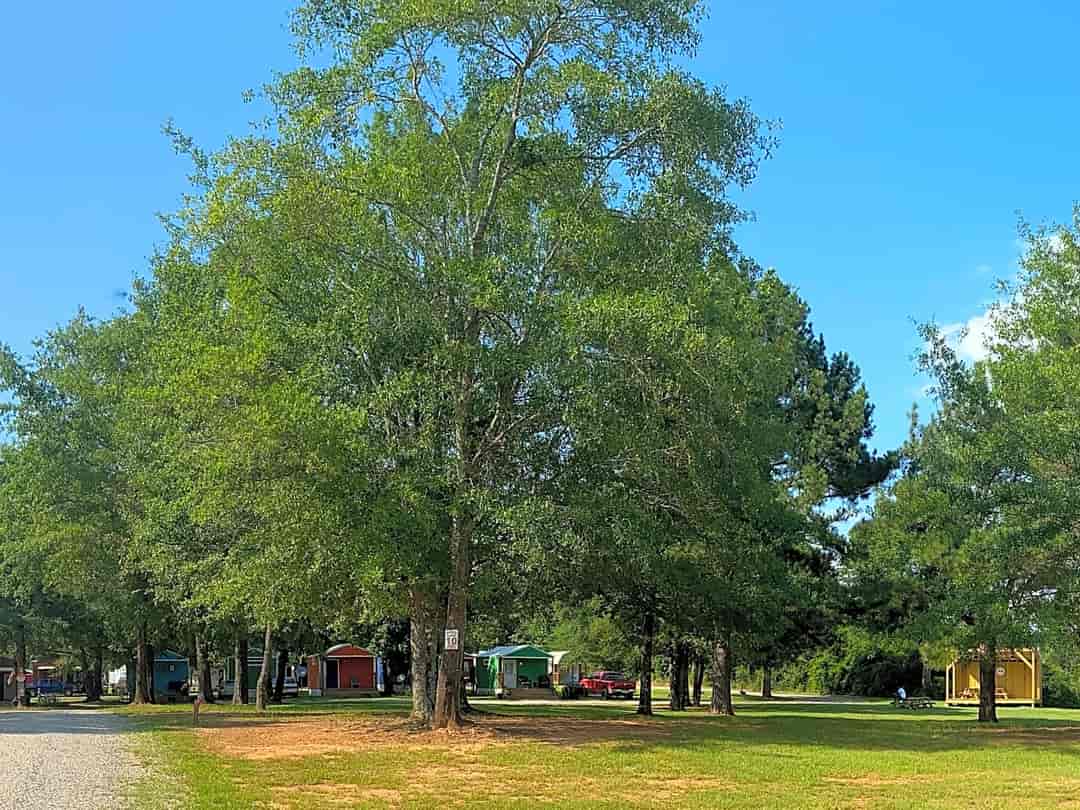 Talladega Pit Stop RV Park and Campground: Entrance to the site