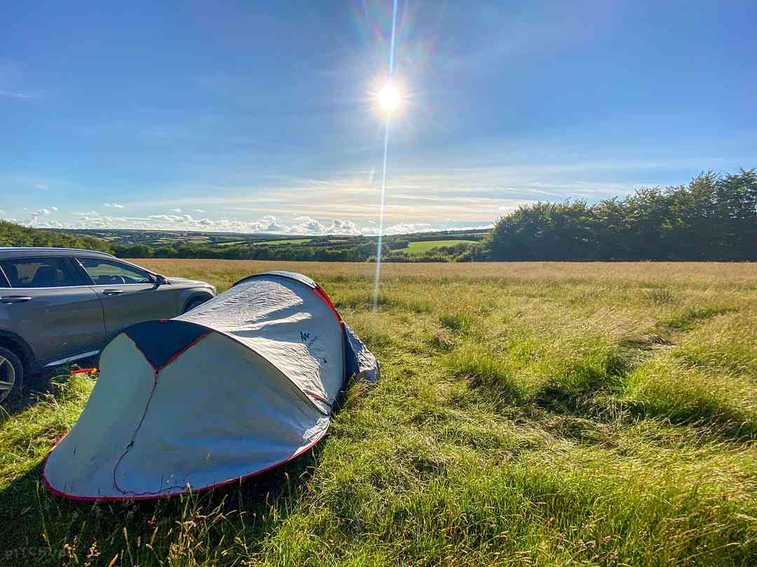 Exmoor Blueberries: Visitor image of the first picture on their arrival