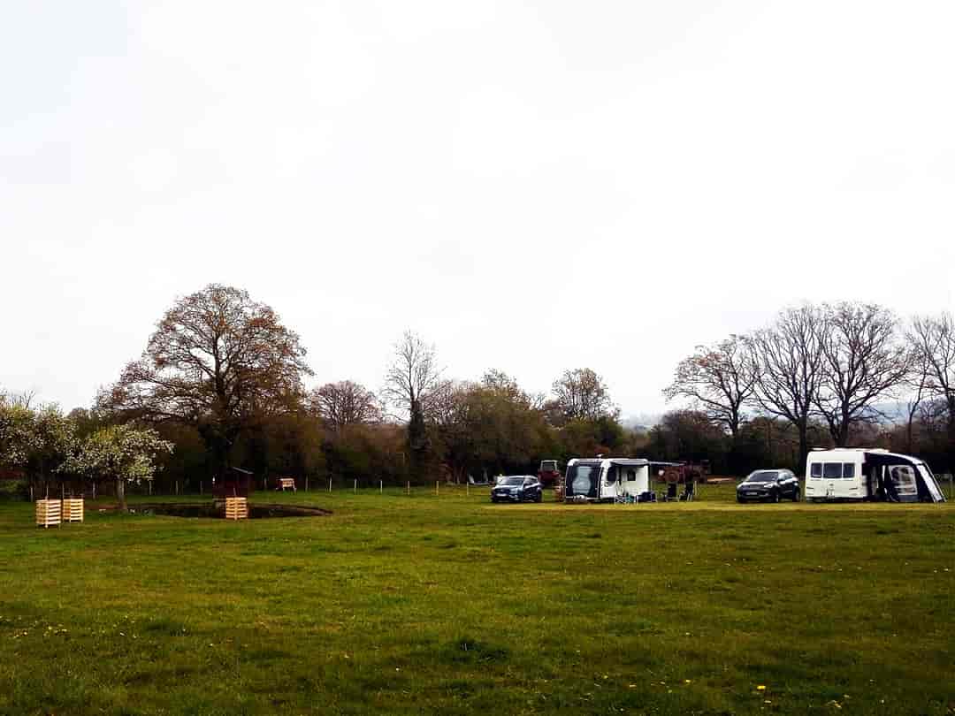 Aylton Motorhome and Caravan Site: The pitches