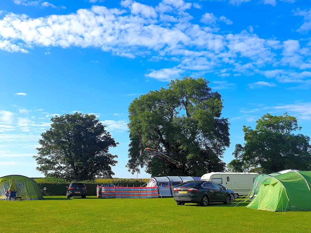 Penisar Mynydd Caravan Park: Lovely site (photo added by  on 14/07/2019)