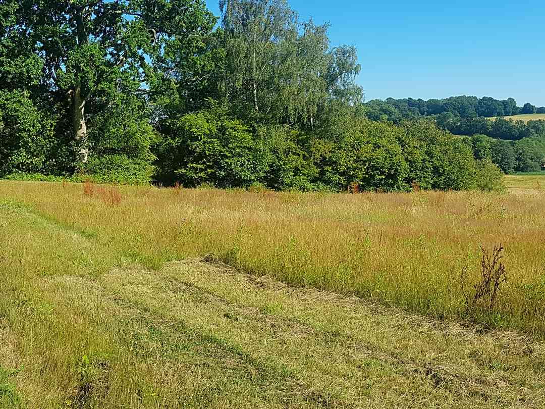 Find The Best Touring Caravan Sites In Tonbridge Kent Pitchup