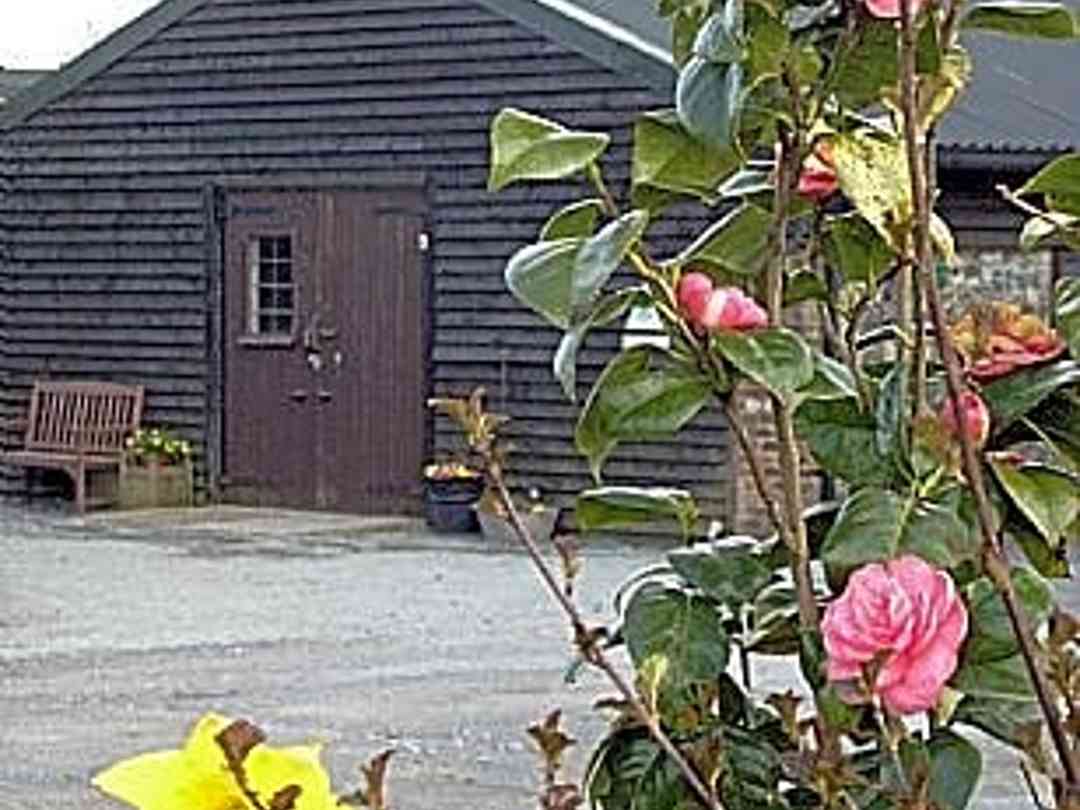 Coldblow Farm Camping Maidstone Pitchup