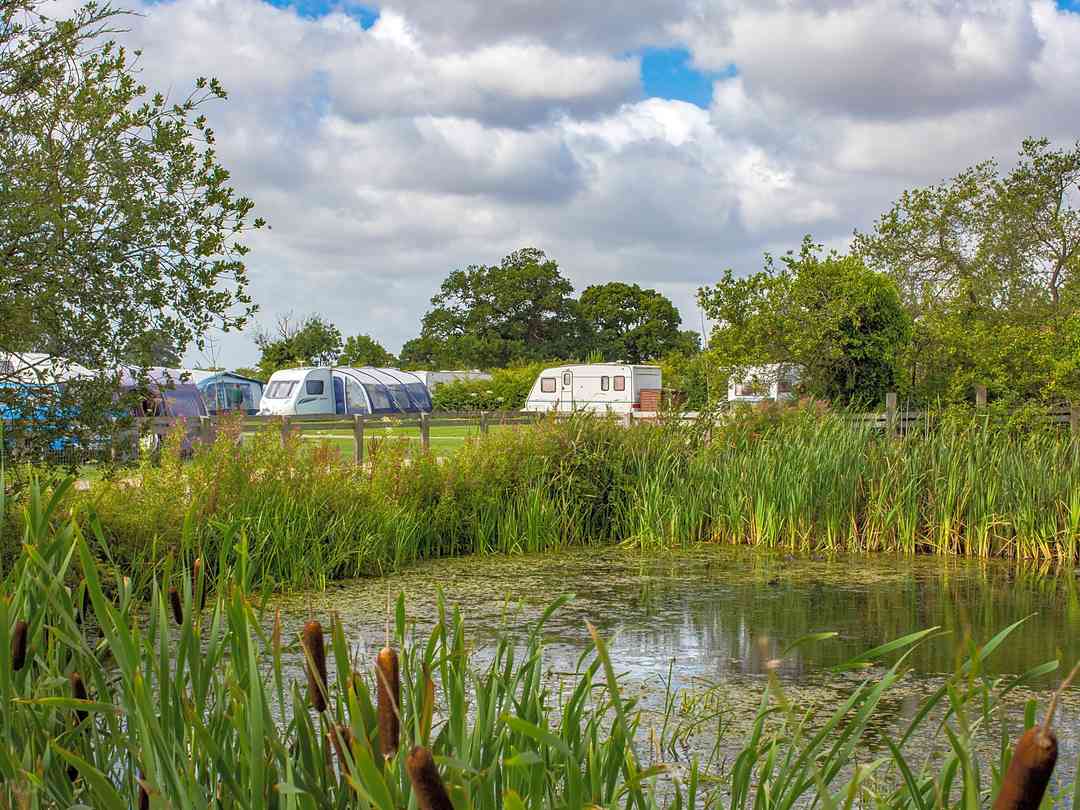 Across the pond (photo added by manager on 18/07/2024) Haw Wood Caravan Park: Across the pond (photo added by manager on 18/07/2024)