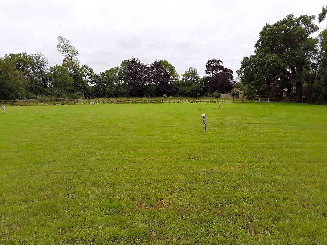 Bluebell Meadow Campsite