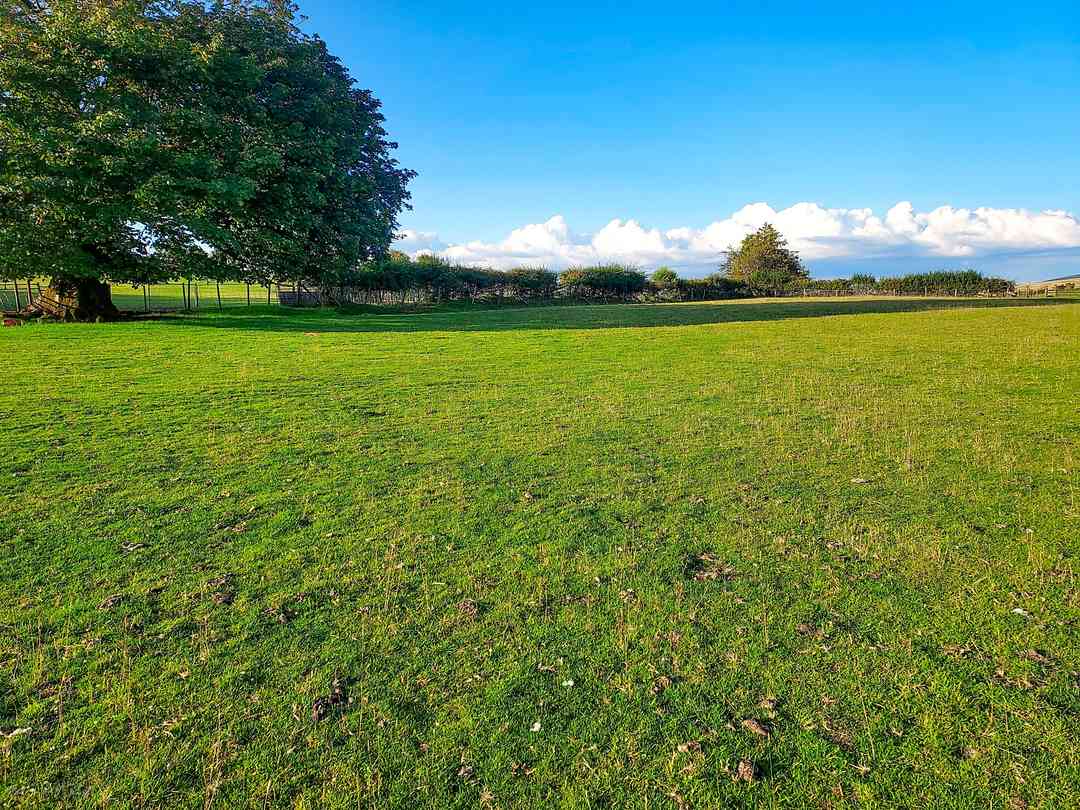 Buckhall Farm: Camping area (photo added by manager on 17/08/2023)