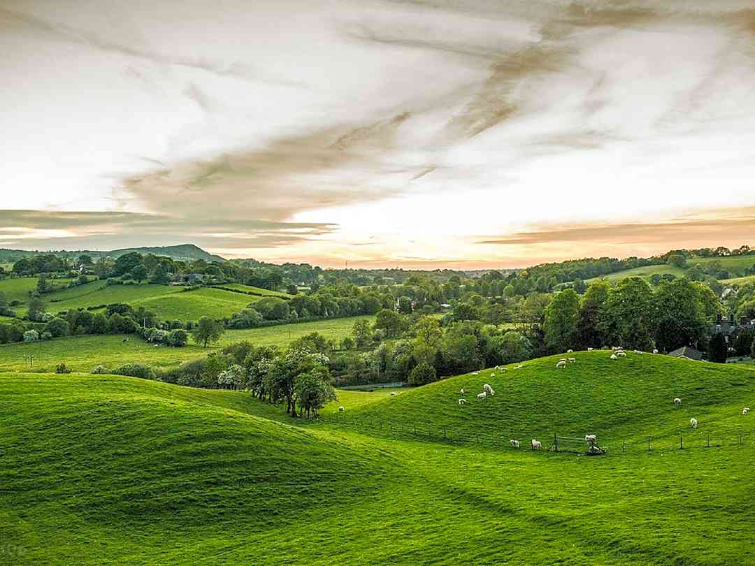 Heaton House Farm