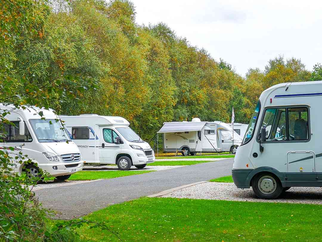 Willowbank Holiday Park (фото добавлено менеджером 26.03.2024) Willowbank Holiday Park (фото добавлено менеджером 26.03.2024)