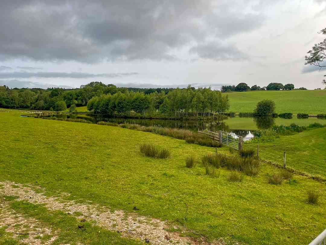 Hurst Farm: The fly fishing lake from the car park (photo added by manager on 06/06/2025)