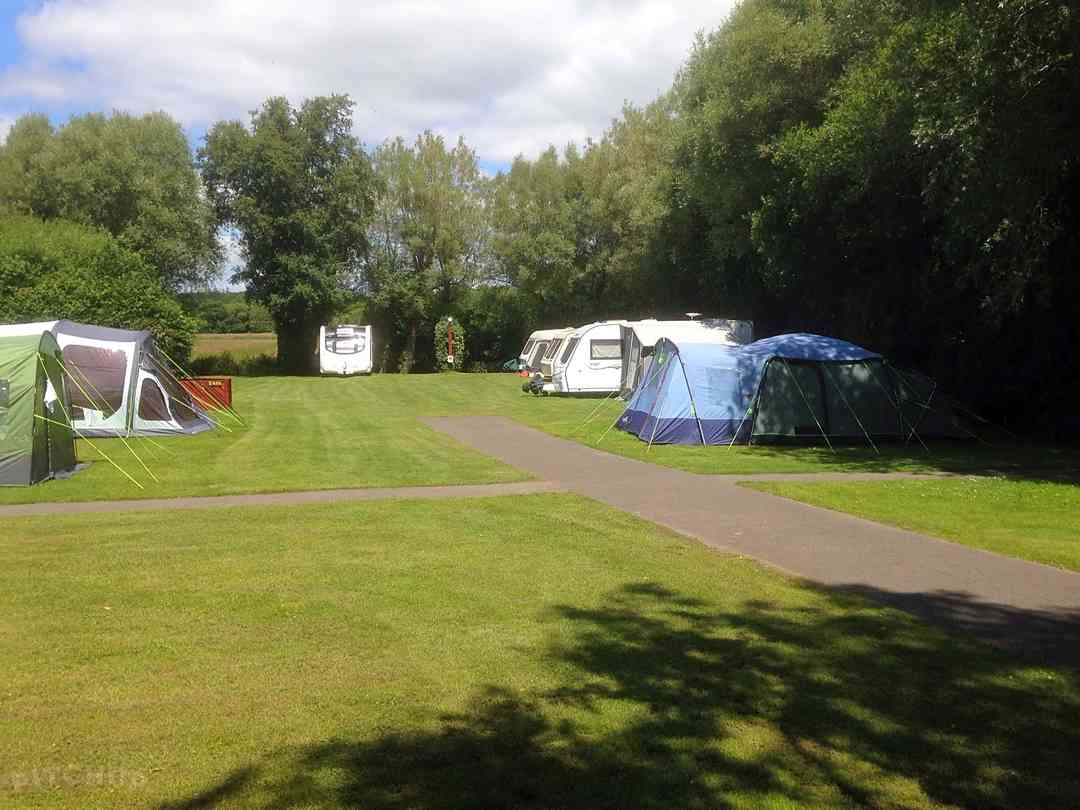 Whitemead Caravan Park: Quiet grass pitches