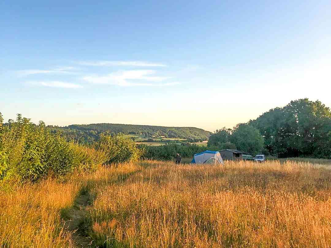 Golden Hill Wood: View to Wentwood (photo added by manager on 27/07/2023)