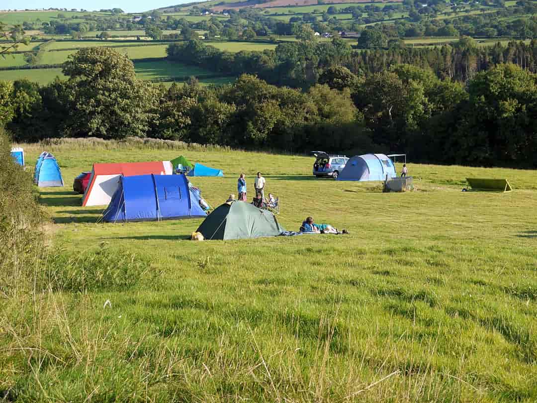 Top of the Woods: Meadow camping