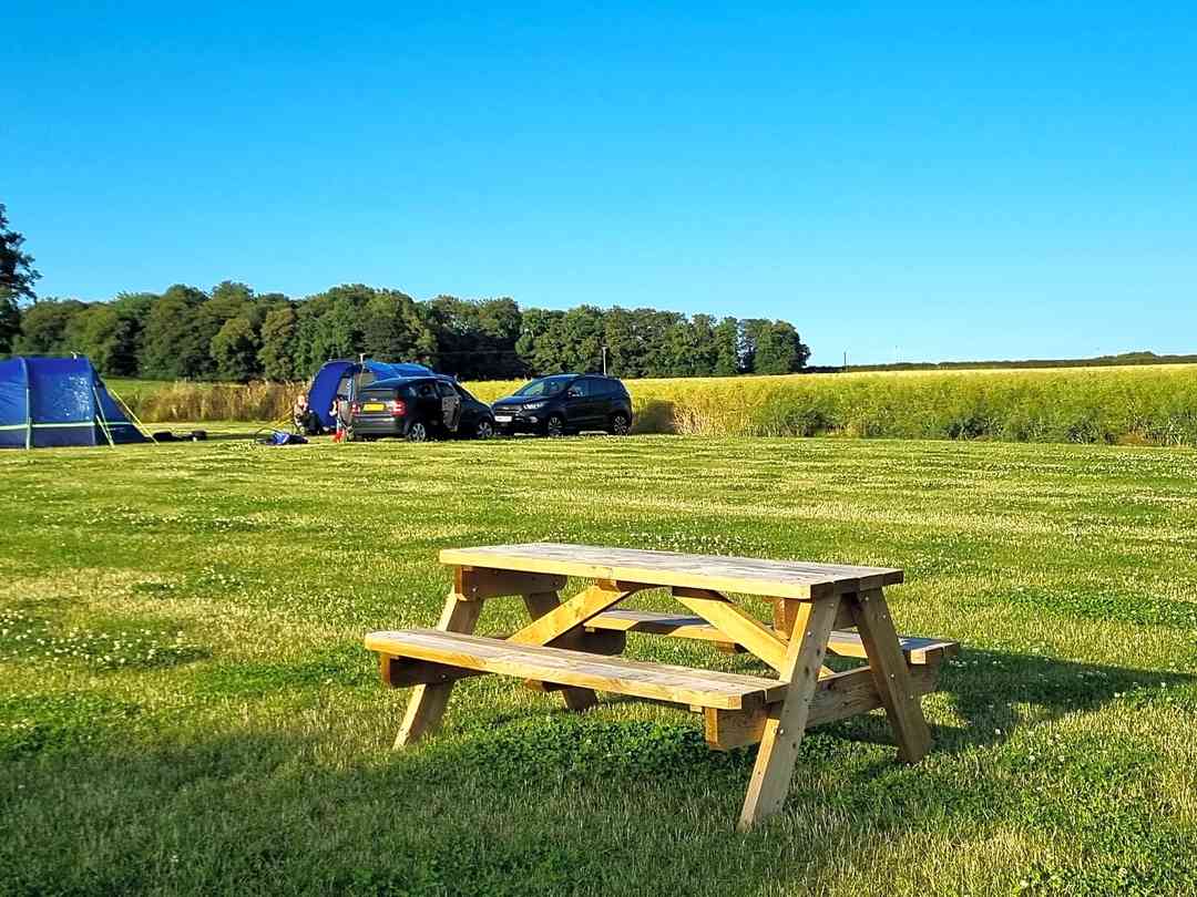 Heckley Farm Camping, Alnwick