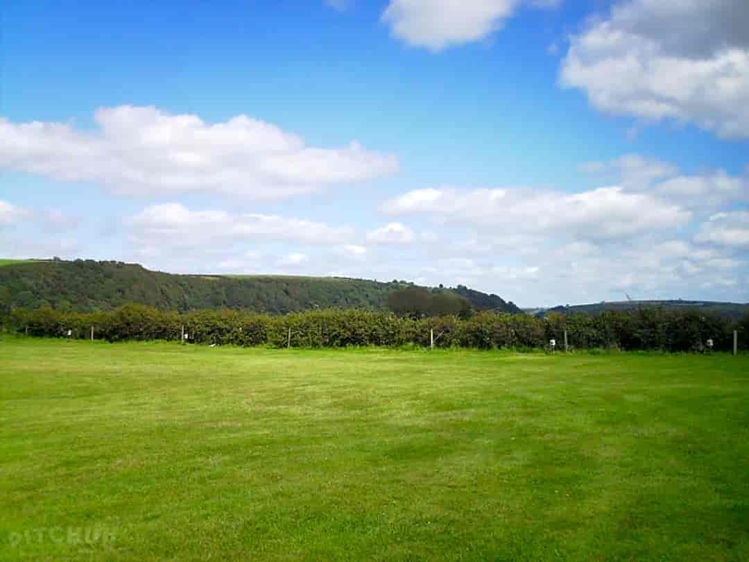 Nine Acres Camping Caravan Park: Looking over the pitches
