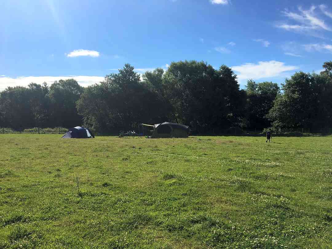 Alpaca Camp Lewes Pitchup