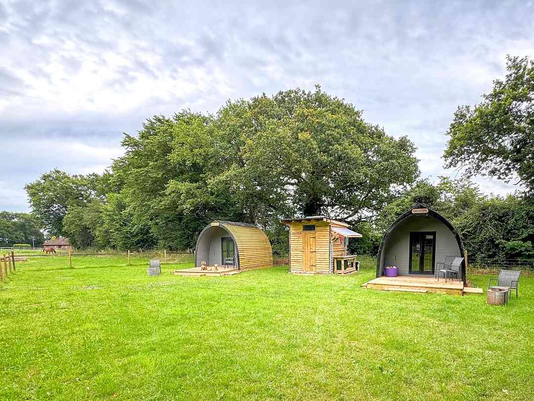 Pods alongside communal kitchen (photo added by manager on 16/07/2024) Hellie Pods: Pods alongside communal kitchen (photo added by manager on 16/07/2024)