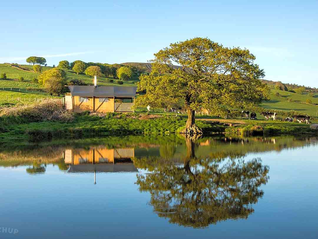 Under the Oak Glamping: The pond (photo added by manager on 11/01/2019)