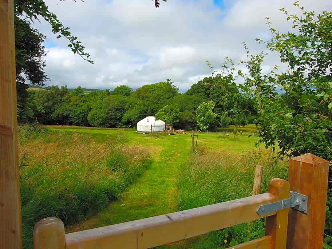 Valley Yurts: In the orchard