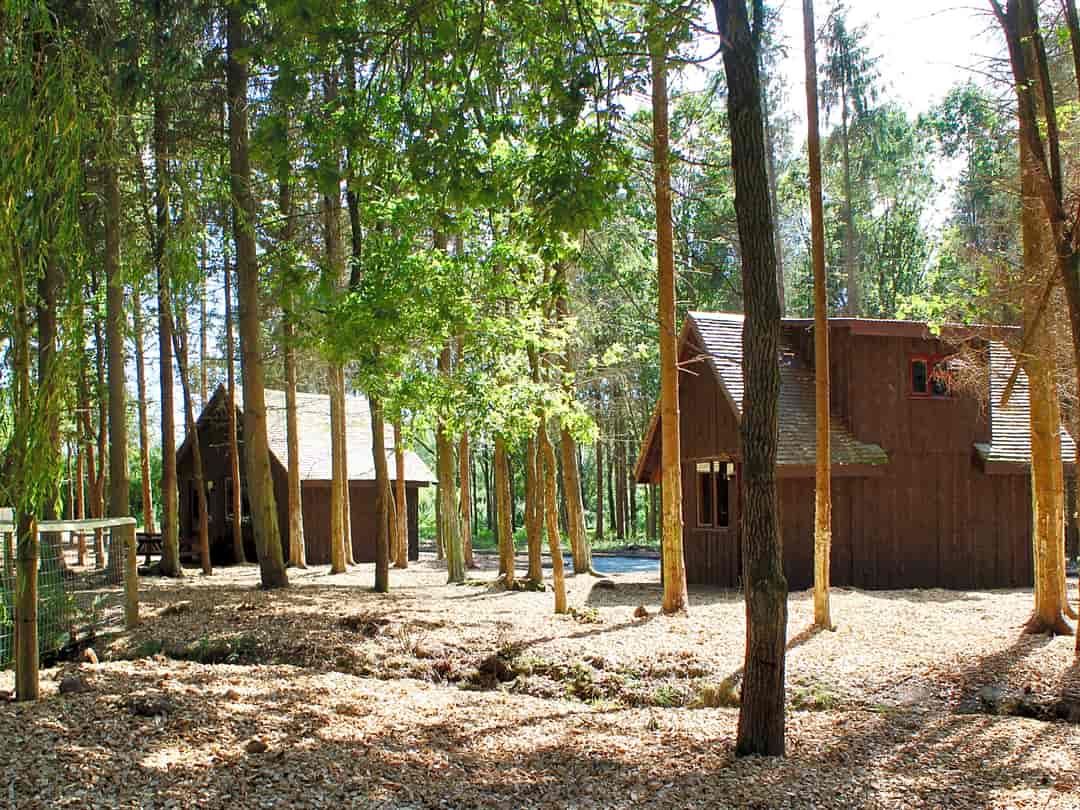 Nantclimbers Woodland Camping Huts: Squirrel and Rabbit Huts