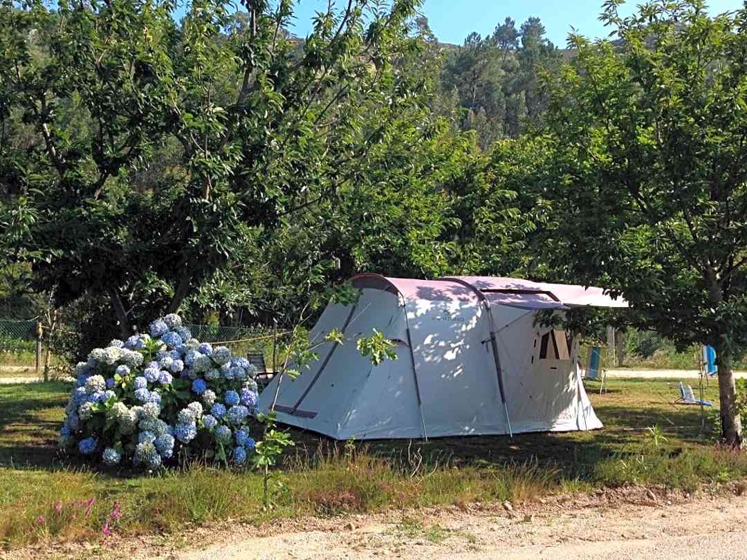 Find Cheap Tent Camping Sites In La Coruna Pitchup
