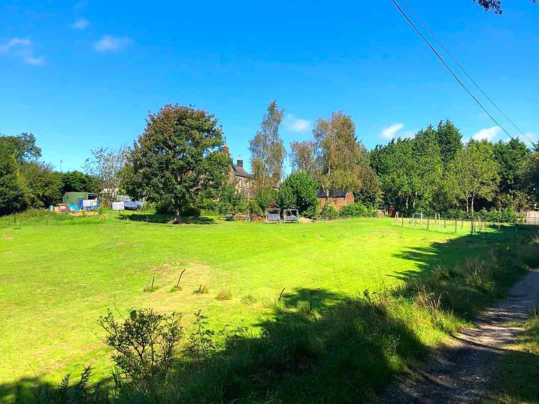 Hill Wood View
