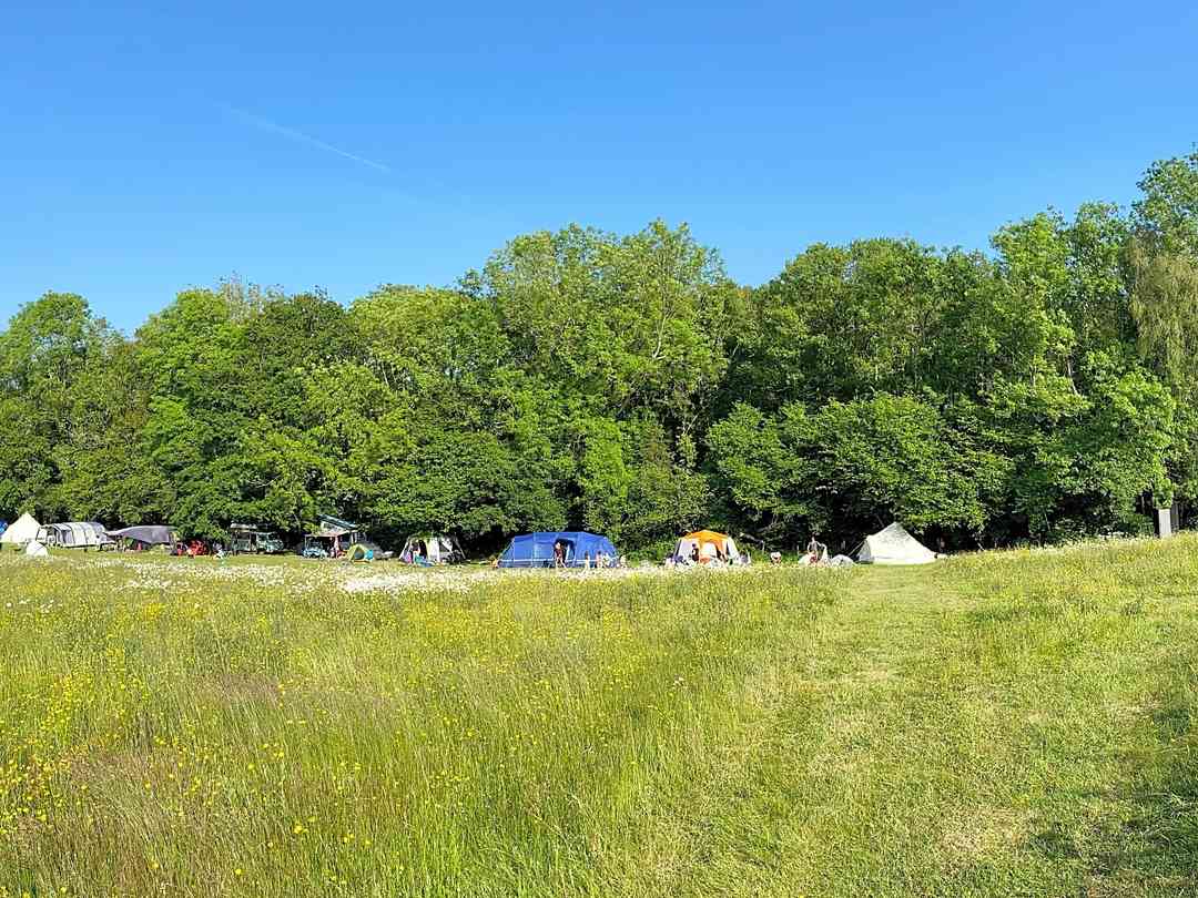 PopUp Woods and Meadows Campsite, Hastings Updated 2024 prices